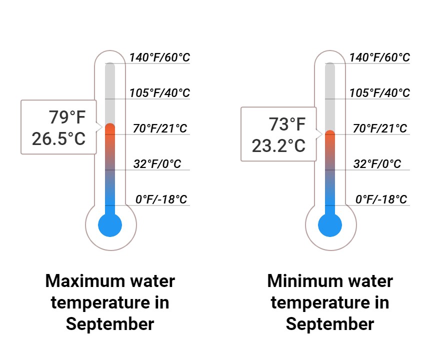 Average Sea temperature